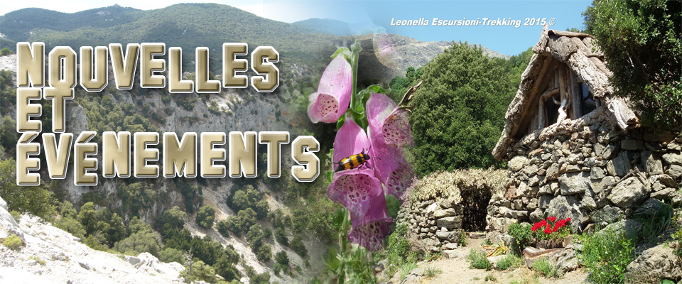 nouvelles